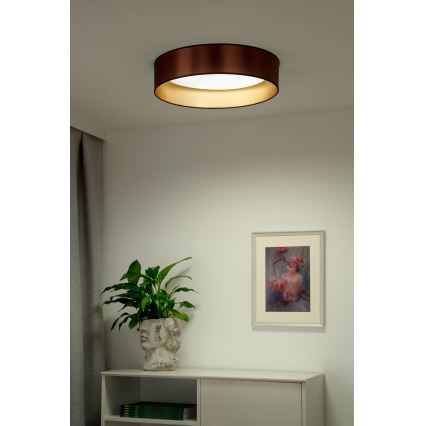 Duolla - Plafón LED ROLLER LED/24W/230V diá. 45 cm cobre/dorado