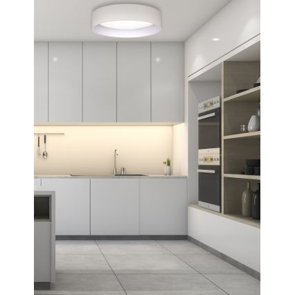 Duolla - Plafón LED ROLLER LED/24W/230V diá. 45 cm color crema