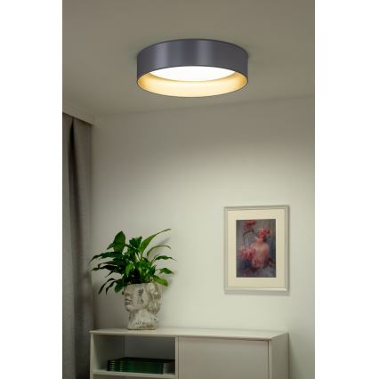 Duolla - Plafón LED ROLLER LED/24W/230V diá. 45 cm plata/dorado