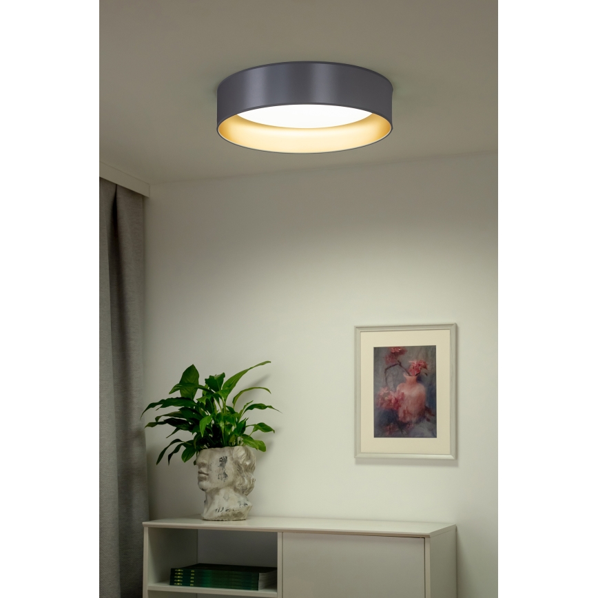Duolla - Plafón LED ROLLER LED/24W/230V diá. 45 cm plata/dorado
