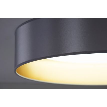 Duolla - Plafón LED ROLLER LED/24W/230V diá. 45 cm plata/dorado