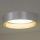 Duolla - Plafón LED ROLLER LED/24W/230V diá. 45 cm plata/dorado