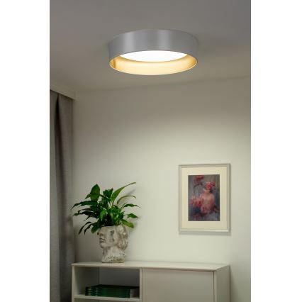 Duolla - Plafón LED ROLLER LED/24W/230V diá. 45 cm plata/dorado