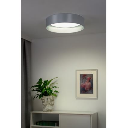 Duolla - Plafón LED ROLLER LED/24W/230V diá. 45 cm plata