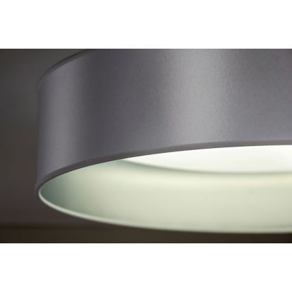 Duolla - Plafón LED ROLLER LED/24W/230V diá. 45 cm plata