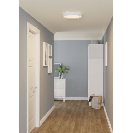 Eglo 300686 - Lámpara de techo LED RGBW regulable MASSIGNANO-Z LED/18,5W/230V blanco + mando a distancia