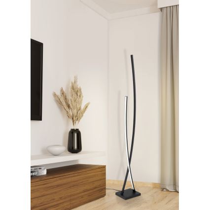 Eglo - Lámpara de pie LED LED/23W/230V