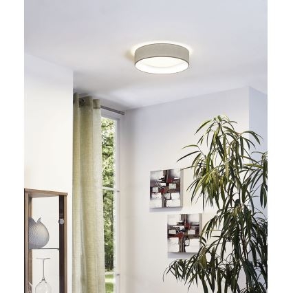 Eglo - Plafón LED 1xLED/11W/230V