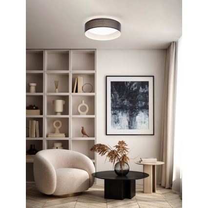 Eglo - Lámpara de techo LED 1xLED/12W/230V