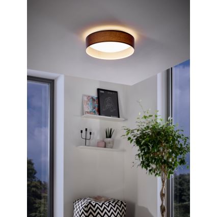 Lámpara de techo LED Eglo LED/11W/230V