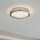 Eglo 32047 - Lámpara de techo LED AREZZO 2 LED/17,92W/230V