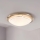 Eglo 32094 - Plafón LED PLANET LED/11W/230V 3000K cromo mate