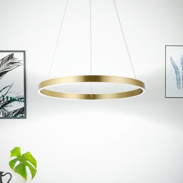 Eglo 33484 - Lámpara colgante LED con cable ALCAZABA 2xLED/18W/230V 3000K Ø 55 cm dorada