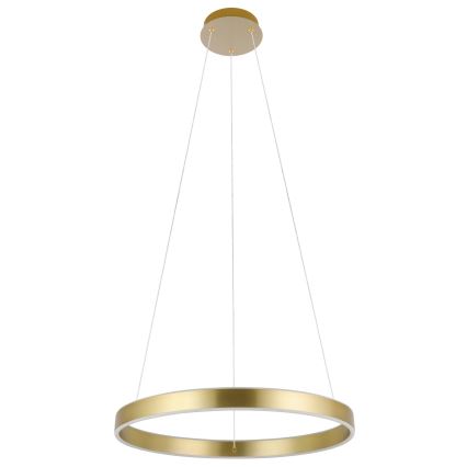 Eglo 33484 - Lámpara colgante LED con cable ALCAZABA 2xLED/18W/230V 3000K Ø 55 cm dorada