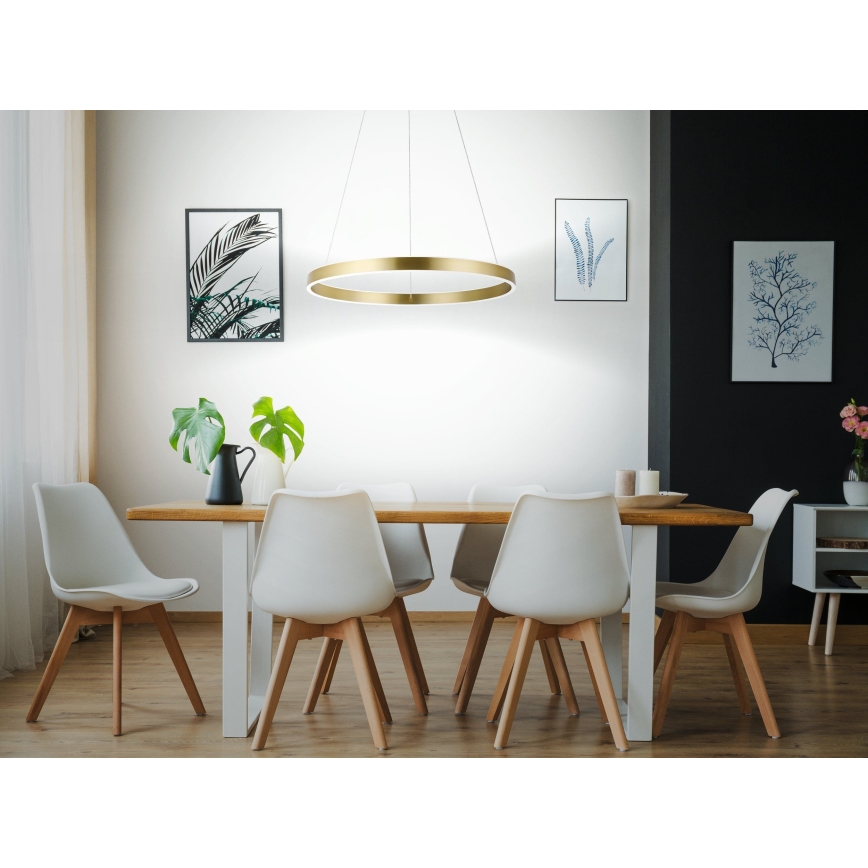 Eglo 33484 - Lámpara colgante LED con cable ALCAZABA 2xLED/18W/230V 3000K Ø 55 cm dorada