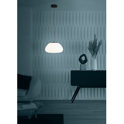 Eglo - Lámpara colgante 1xE27/40W/230V negro