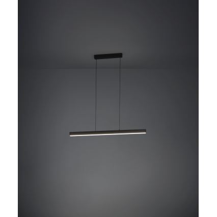 Eglo - Lámpara colgante LED regulable con cable LED/20W/230V 3000K negro