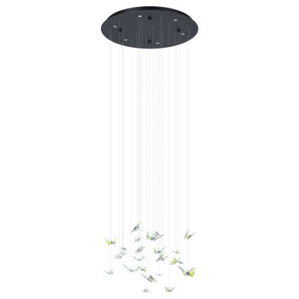 Eglo - Lámpara colgante LED regulable con cable, 6xLED/4,2W/230V, negro/transparente