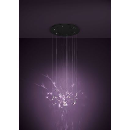 Eglo - Lámpara colgante LED regulable con cable, 6xLED/4,2W/230V, negro/transparente