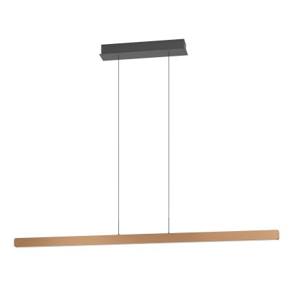 Eglo Stars of Light - Lámpara colgante LED regulable suspendida en cable LED/30W/230V 2200-6500K dorada + mando a distancia