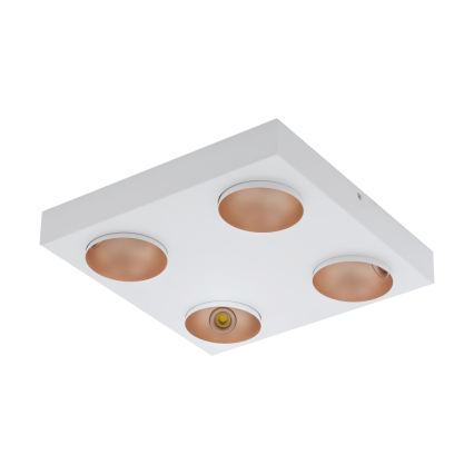 Eglo - LED Plafón regulable 4xLED/3,3W/230V
