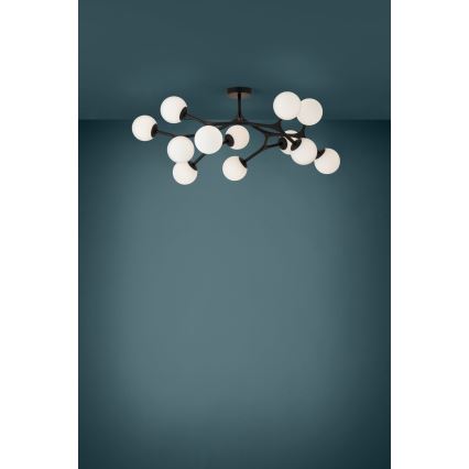Eglo - Lámpara de araña de luces LED de superficie 12xG9/3W/230V