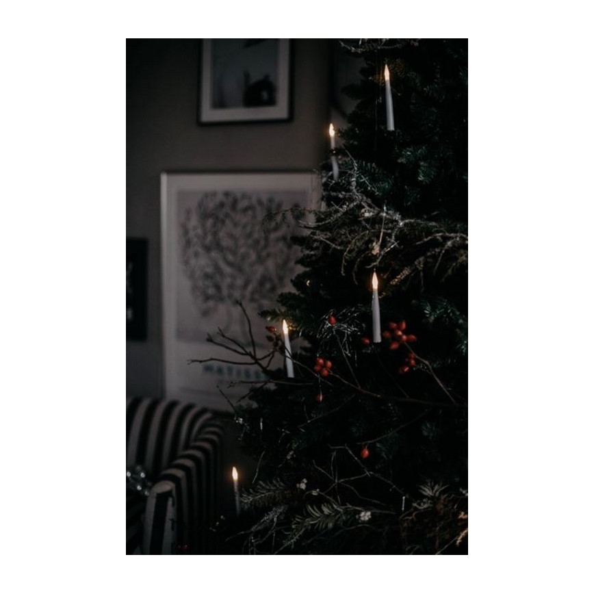 Eglo - Árbol de Navidad 250 cm abeto