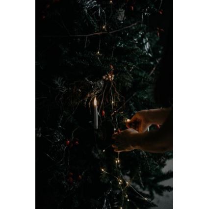 Eglo - Árbol de Navidad 250 cm abeto