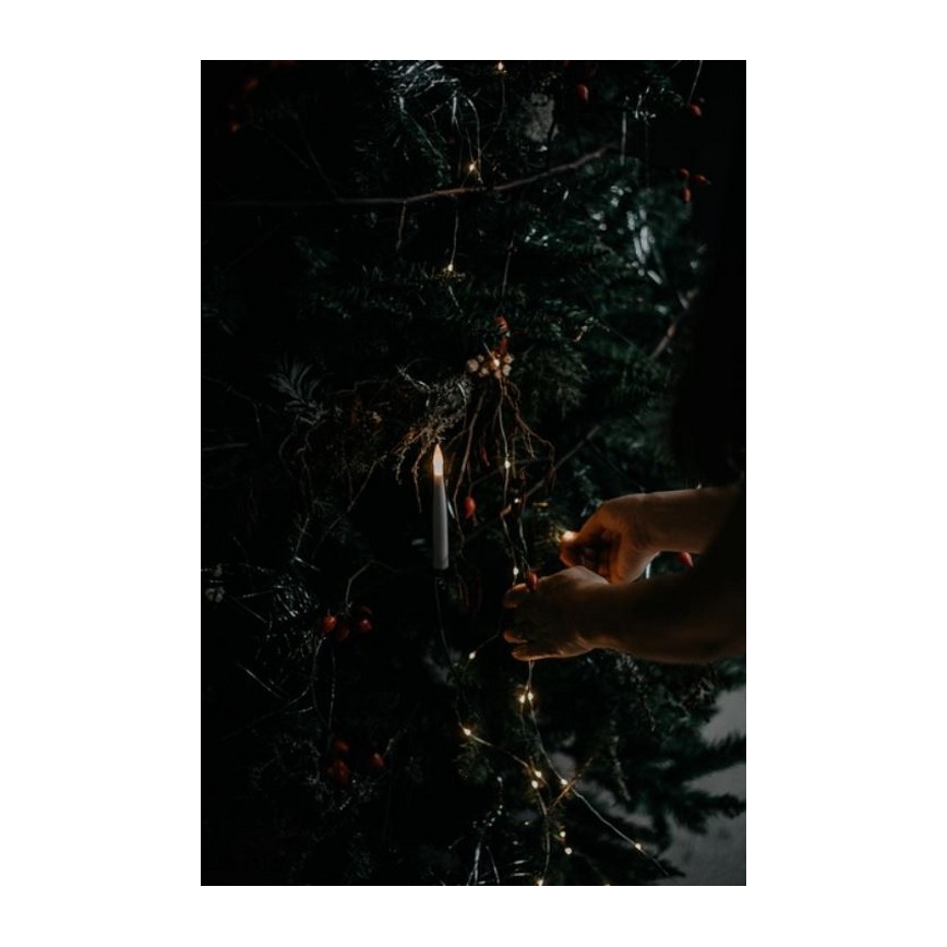 Eglo - Árbol de Navidad 250 cm abeto