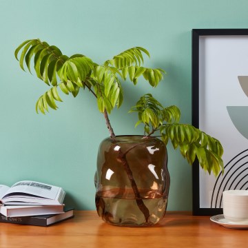 Eglo 421238 - Jarrón de vidrio MAROSAVA 23x20 cm marrón/ahumado