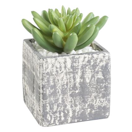 Eglo - Planta artificial en una maceta 12x7,5 cm suculento