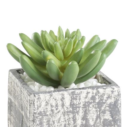 Eglo - Planta artificial en una maceta 12x7,5 cm suculento