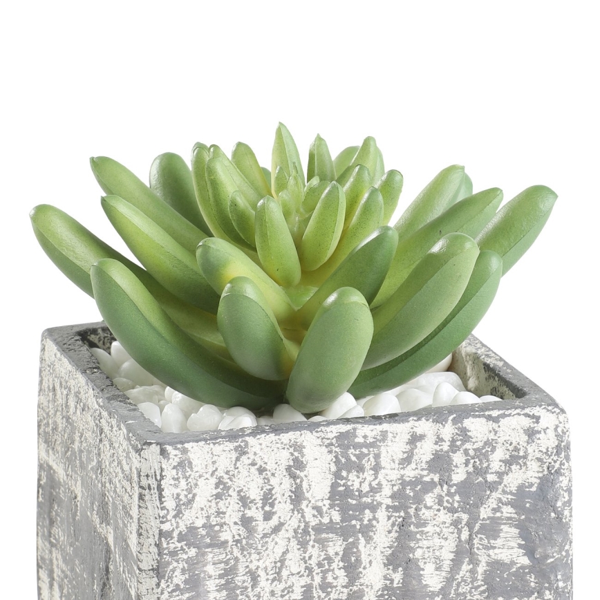 Eglo - Planta artificial en una maceta 12x7,5 cm suculento