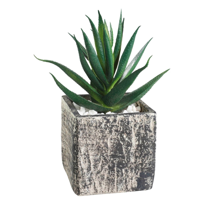 Eglo - Planta artificial en una maceta 13x9,5 cm suculento
