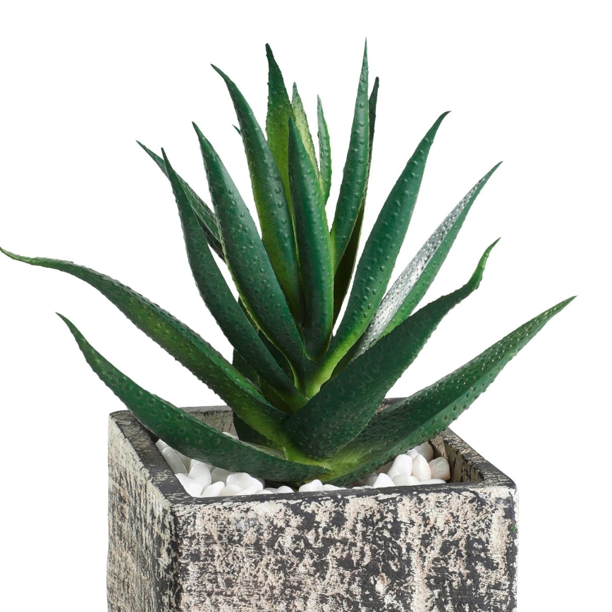 Eglo - Planta artificial en una maceta 13x9,5 cm suculento