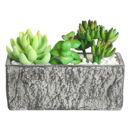 Eglo - Planta artificial en una maceta 14,5x17,8 cm suculento