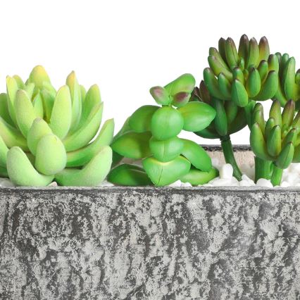 Eglo - Planta artificial en una maceta 14,5x17,8 cm suculento