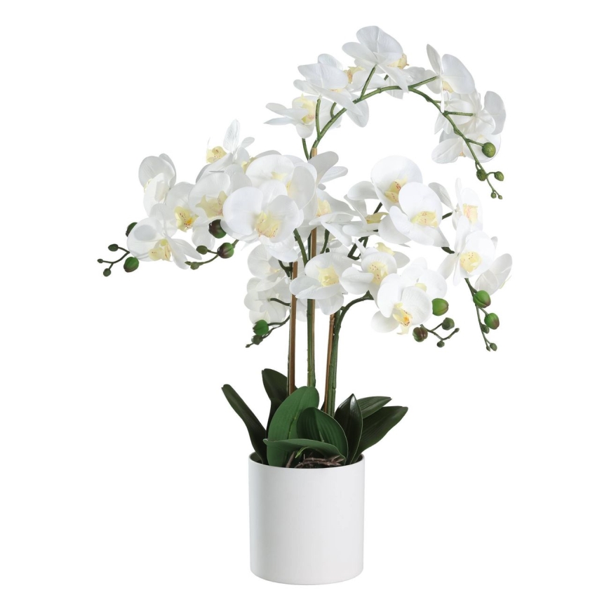 Eglo - Planta artificial en una maceta 65x50 cm orquídea