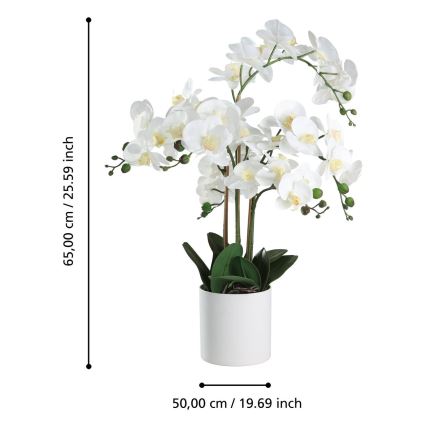 Eglo - Planta artificial en una maceta 65x50 cm orquídea