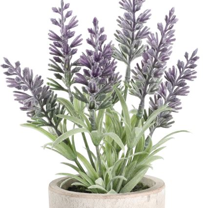 Eglo - Planta artificial en una maceta 22x8 cm lavanda