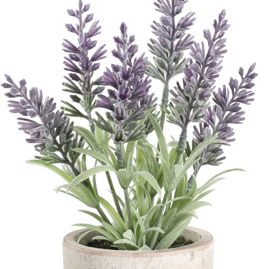Eglo - Planta artificial en una maceta 22x8 cm lavanda