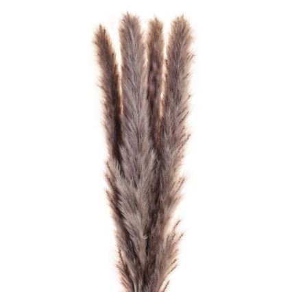 Eglo - Flor seca 60 cm morada