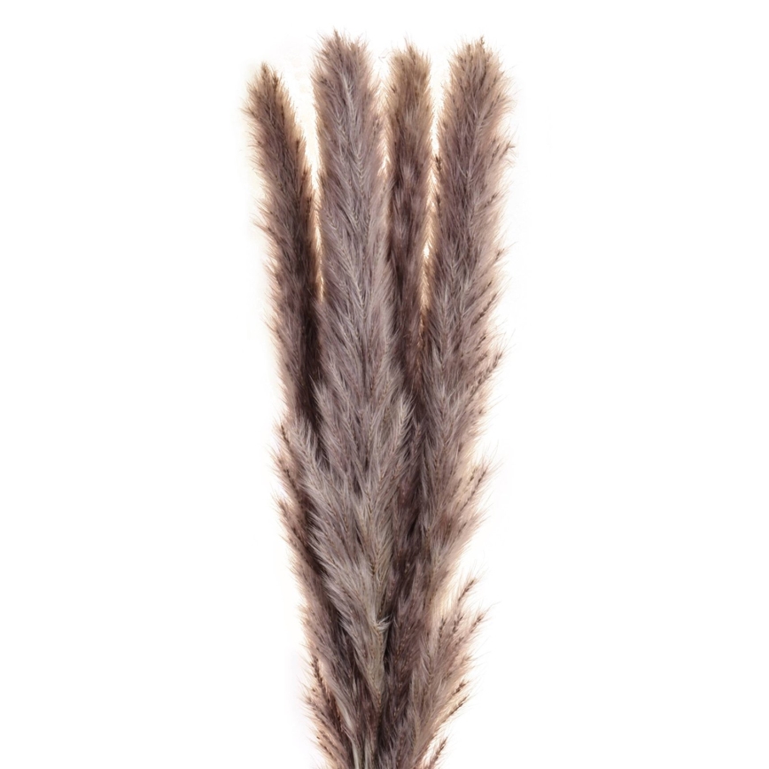 Eglo - Flor seca 60 cm morada