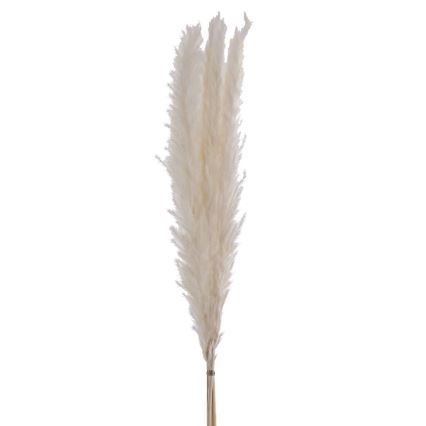 Eglo - Flor seca 70 cm blanco
