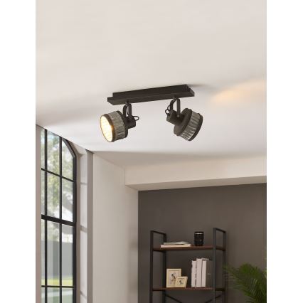 Eglo 43445 - Lámpara de focos TURROCK 2xE27/28W/230V