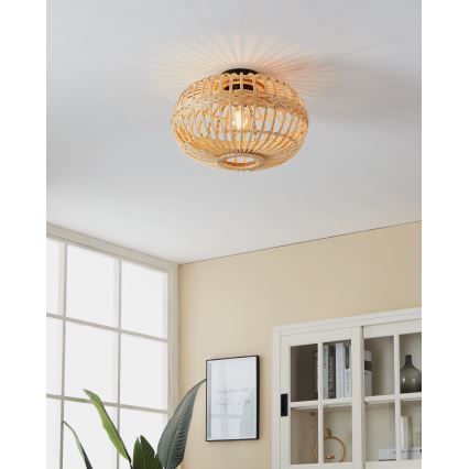 Eglo - Lámpara de techo 1xE27/40W/230V