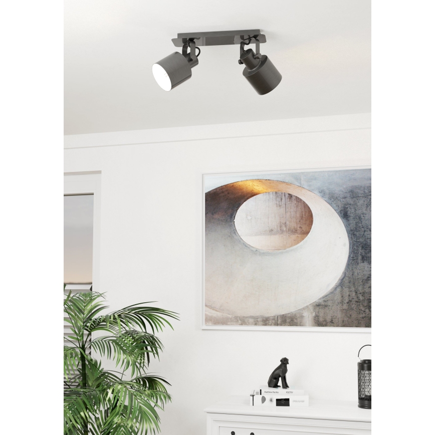Eglo - Lámpara de techo con 2 focos E27/40W/230V