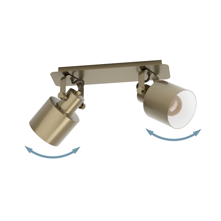Eglo - Lámpara de techo con 2 focos E27/40W/230V