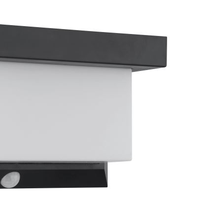 Eglo - Aplique LED solar con sensor LED/3,84W/3,7V 2000 mAh IP44