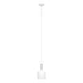Eglo 62265 - Lámpara colgante PASCOA PRO 1xE27/60W/230V 15,6 cm blanco
